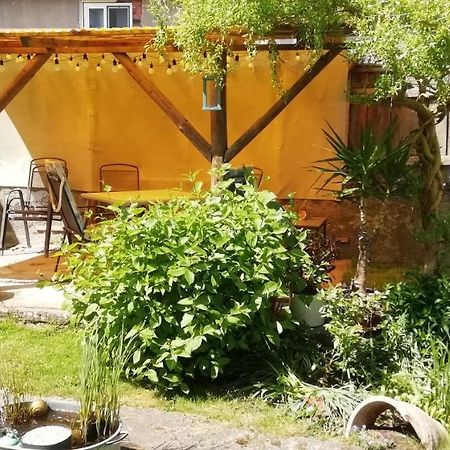 Vip-Zelten Im Garten - Camping Weischlitz Ngoại thất bức ảnh